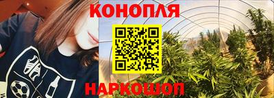 тгк Дубна