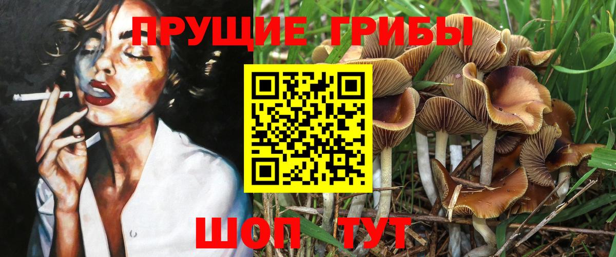 Галлюциногенные грибы мицелий  Вход с VPN  Боровичи 